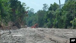 An excavator works amid thick forest in the area PT Kal has slated for conservation, and company heads worry that wide roads like this will kill its chance of selling carbon credits, in West Kalimantan, Indonesia, September 2011.