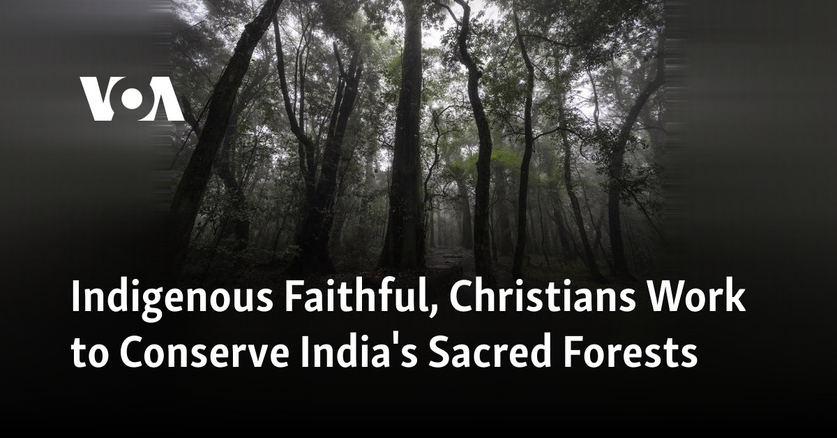 Indigenous Faithful, Christians Work to Conserve India’s Sacred Forests