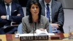 Đại sứ Mỹ tại Liên Hiệp Quốc Nikki Haley phát biểu tai cuộc họp của Hội đồng Bảo an hôm 29/11.