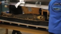 ترمیم مومیایی ۲۵۰۰ ساله مصری در شیکاگو