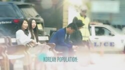 بي بي شیرینه – وي او اې ډيوه په ټیلې ویژن