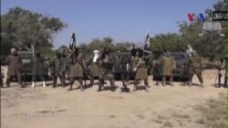 Việt Nam lên án Nhà nước Hồi giáo