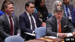 Deputy Secretary of State Christopher Landau at UN Security Council.