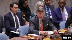 美国常务副国务卿克里斯托弗·兰道在联合国安理会一场有关乌克兰局势的会议上发言。