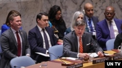  د امریکا د متحدو ایالتونو د بهرنیو چارو مرستیال وزیر، کریسټوفر لېنډاو، د ملګرو ملتونو امنیت شورا ته د وینا پر مهال