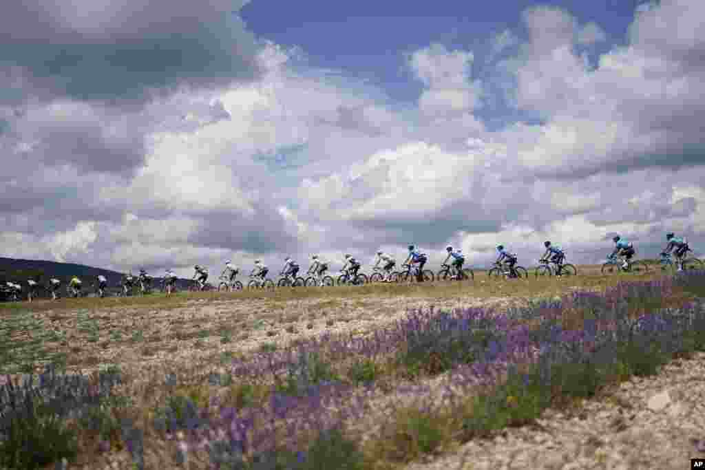 The pack rides during the eleventh stage of the Tour de France cycling race over 198.9 kilometers (123.6 miles) with start in Sorgues and finish in Malaucene, France.