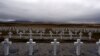 Scientists Aim to Identify Remains of Argentine Soldiers on Falklands