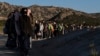 Migrantes chinos esperan ser procesados tras cruzar la frontera con México, el miércoles 8 de mayo de 2024, cerca de Jacumba Hot Springs, California.