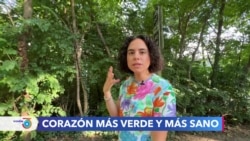 Estudio revela las ventajas que para la salud cardíaca tiene pasar tiempo en la naturaleza 