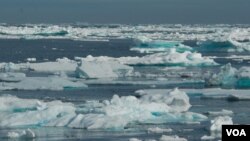 El calentamiento global podría ser el culpable del derretimiento de las capas de hielo en el Polo Norte.