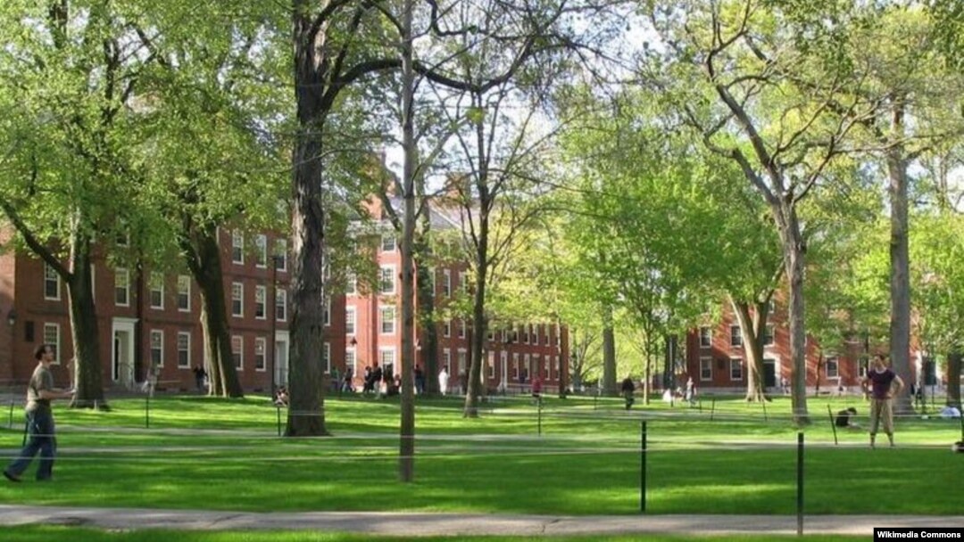 Khuôn viên Đại học Havard
