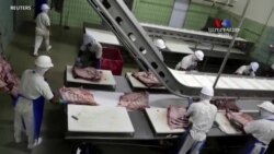 Մսի պակաս ու գների բարձրացում ԱՄՆ-ում` փաթեթավորման գործարաններում վարակի տարածման արդյունքում