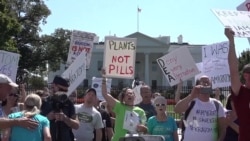 Kratom Ban Draws Protests