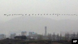 Birds fly in a line in North Korea in the demilitarized zone (DMZ) near the border village of Panmunjom that separates the two Koreas since the Korean War, in Paju, north of Seoul, South Korea, Wednesday, April 25, 2012. (AP Photo/Lee Jin-man)