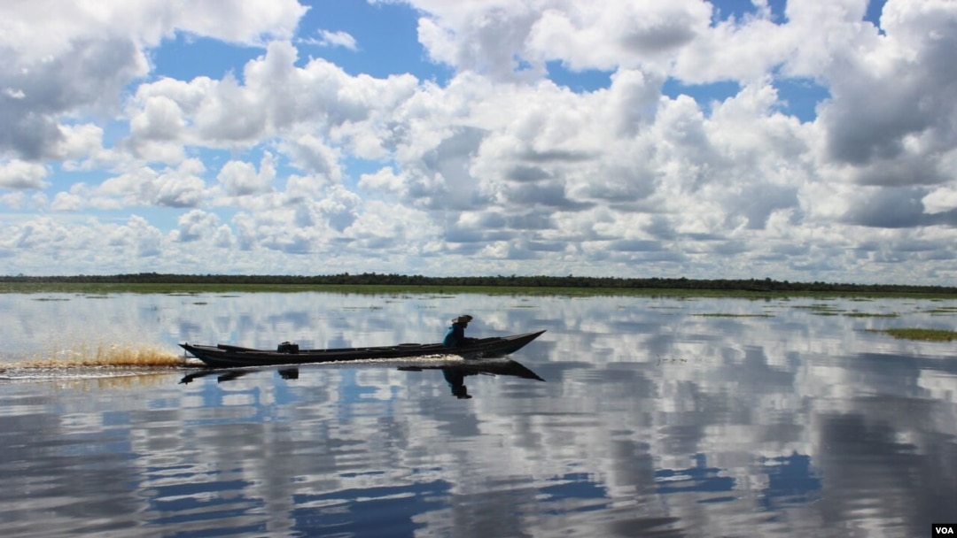 FILE - Man in klotok boat navigates through peat swamp near Lake Sambujur, North Hulu Sungai, South Kalimantan, Indonesia. (B. Hope for VOA)