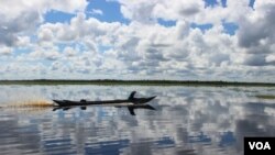 FILE - Man in klotok boat navigates through peat swamp near Lake Sambujur, North Hulu Sungai, South Kalimantan, Indonesia. (B. Hope for VOA)