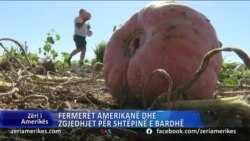 Fermerët amerikanë dhe zgjedhjet për Shtëpinë e Bardhë 