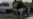 Iranian Women Arrested for Riding Motorcycle; Video Fuels Backlash