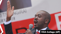 Nelson Chamisa