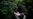 Rising Numbers of Migrants Risk Lives Crossing Darien Gap
