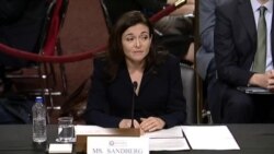 Live: Сенатские слушания об операциях иностранных разведок с помощью соцсетей