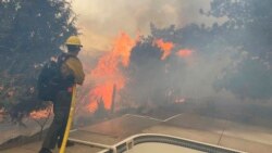 Wildfires Nevada