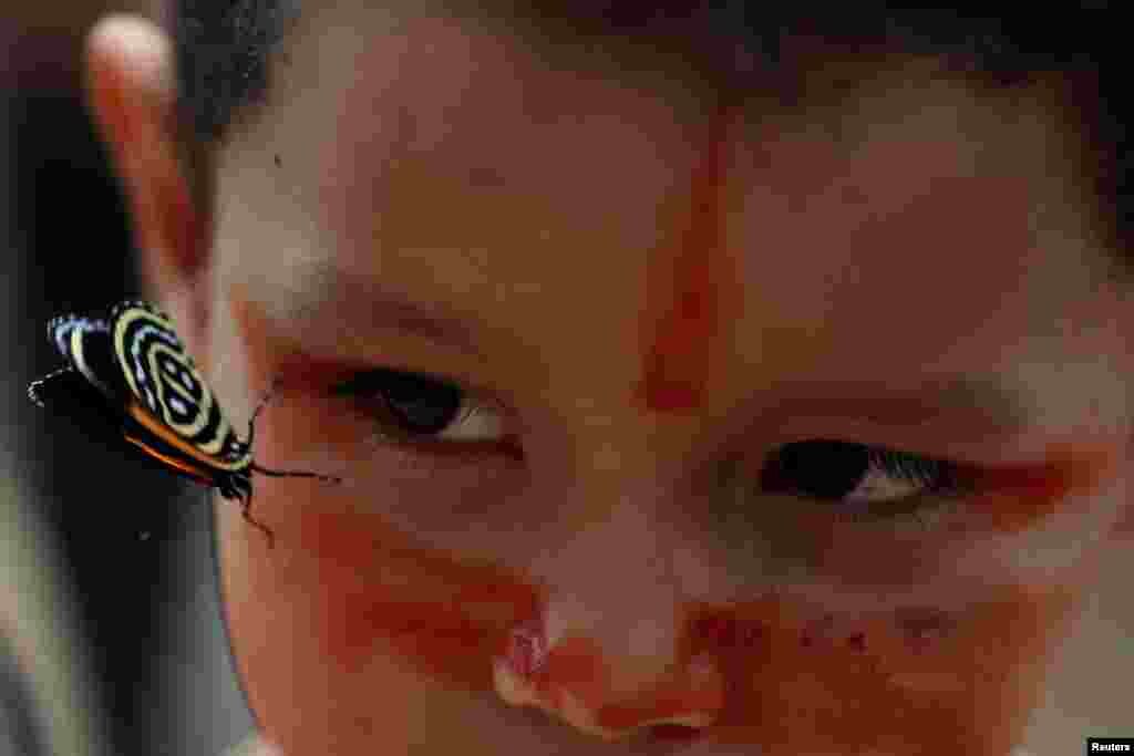 Un niño indígena de la tribu Mura intenta buscar una mariposa en el pueblo de Itaparana, cerca de Humaita, estado de Amazonas, Brasil. Foto del 20 de agosto de 2019.&nbsp;