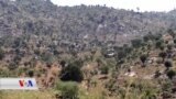 چیرۆکی ئەو کچانەی لەلایەن بوکۆ حەرامەوە ڕفێندرابوون