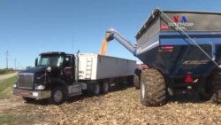 ԱՄՆ-ի ֆերմերները մեծ հույսեր են կապում առեւտրային նոր գործարքների հետ