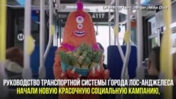 Правила пользования транспортом на родине Голливуда