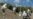 High Radiation Levels Continue to Hamper Work at Crippled Japanese Nuclear Plant