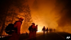 Inmate firefighters walk along Highway 120 after a burnout operation as firefighters continue to battle the Rim Fire near Yosemite National Park, California, Aug. 25, 2013.