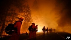 Inmate firefighters walk along Highway 120 after a burnout operation as firefighters continue to battle the Rim Fire near Yosemite National Park, California, Aug. 25, 2013.