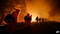 Inmate firefighters walk along Highway 120 after a burnout operation as firefighters continue to battle the Rim Fire near Yosemite National Park, California, Aug. 25, 2013.