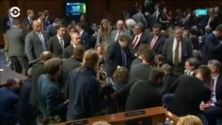 Прямой эфир программы «Настоящее время. Америка» – 22 ноября 2019
