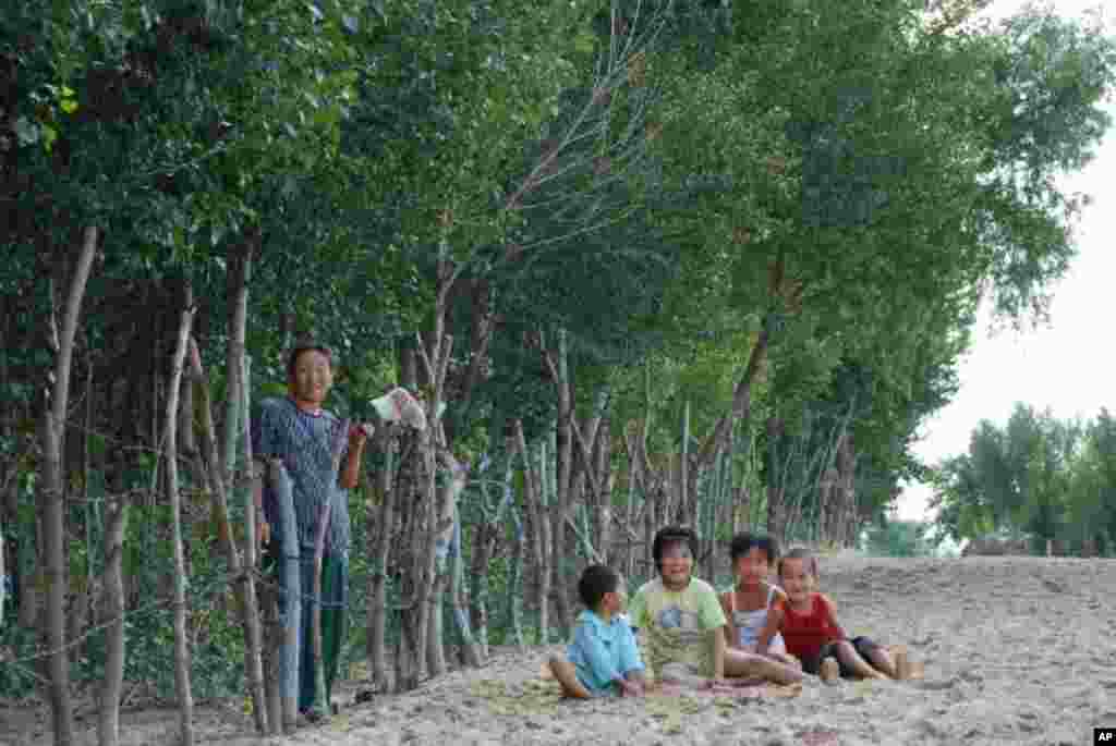 植樹造林對改善科爾沁地區村民生活環境很有幫助