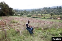 A Kenyan coffee farmer sits on drying nets at an abandoned coffee factory near Nyeri, Kenya, March 15, 2018.