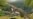 Dealing with Dinosaurs Gave Mammals Night Vision