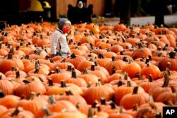 Seorang anak laki-laki memakai masker saat dia melihat-lihat labu di Didier Farms di Lincolnshire, Illinois, Kamis, 15 Oktober 2020. (Foto: AP)