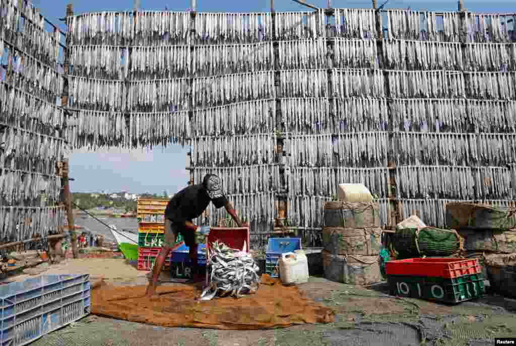 A man empties a container of fish onto a sack at a fishing village in Mumbai, India, April 30, 2018.