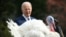 US President Joe Biden takes part in the National Thanksgiving Turkey pardon on the 76th anniversary of the National Thanksgiving Turkey presentation on the South Lawn of the White House in Washington, DC, on November 20, 2023. (Photo by Mandel NGAN / AFP