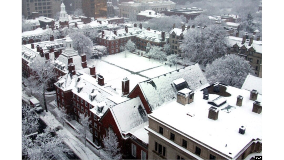 Snow in Silliman College - Frank Teng MC '13