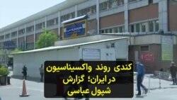 کندی روند واکسیناسیون در ایران؛ گزارش شپول عباسی