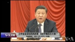 时事大家谈：三中全会深化机构改革，习近平集权办大事