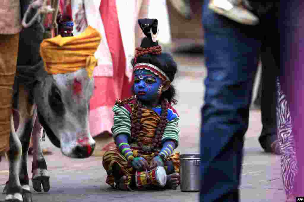 인도 라자스탄 주에서 힌두교의 신 &#39;시바&#39;로 분장한 아이가 길거리에 앉아 동냥하고 있다.&nbsp;