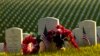 Cveće na grobovima stradalih u ratovima, Levenvort, Kanzas