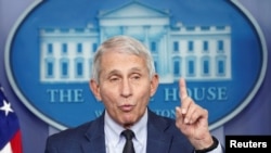 Dr. Anthony Fauci, Kepala Penasihat Medis untuk Presiden AS, memberikan keterangan terkait varian baru COVID-19, di Gedung Putih, Washington, 1 Desember 2021. 