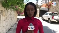 Kèk nan Nouvèl Ki Domine Aktyalite ann Ayiti ak Matiado Vilmé