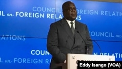 Le président Félix Tshisekedi ya RDC na botani na Président Félix Tshiseked, Washington, le 4 avril 2019. (VOA/Eddy Isango) 