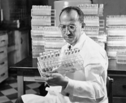 지난 1954년 10월 미국 펜실베니아주 피츠버그에서 조나단 소크가 자신이 개발한 백신 테스트 튜브를 보고 있다.
